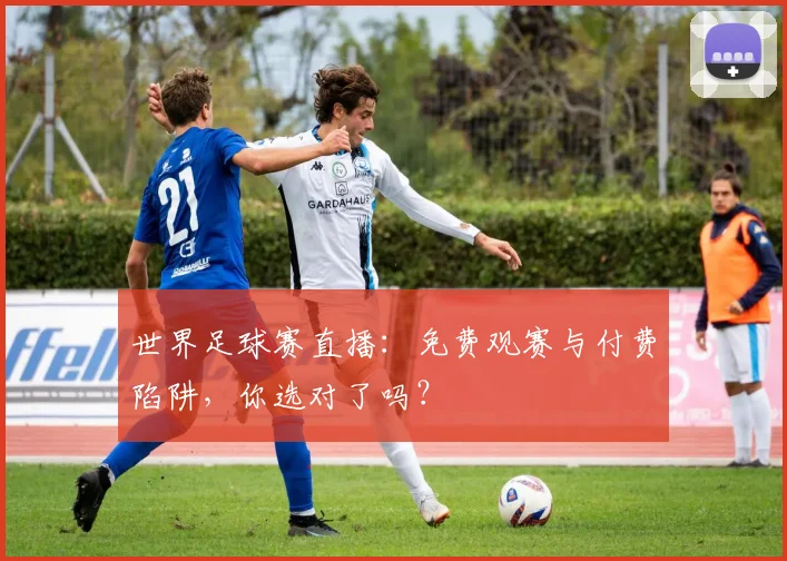 世界足球赛直播：免费观赛与付费陷阱，你选对了吗？