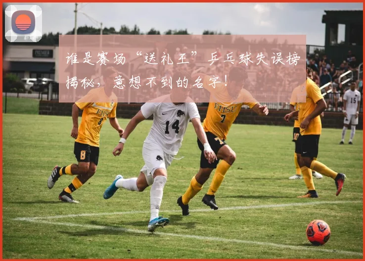 谁是赛场“送礼王”乒乓球失误榜揭秘,意想不到的名字!